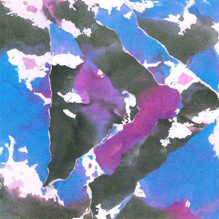 imagen 13. diego arellano